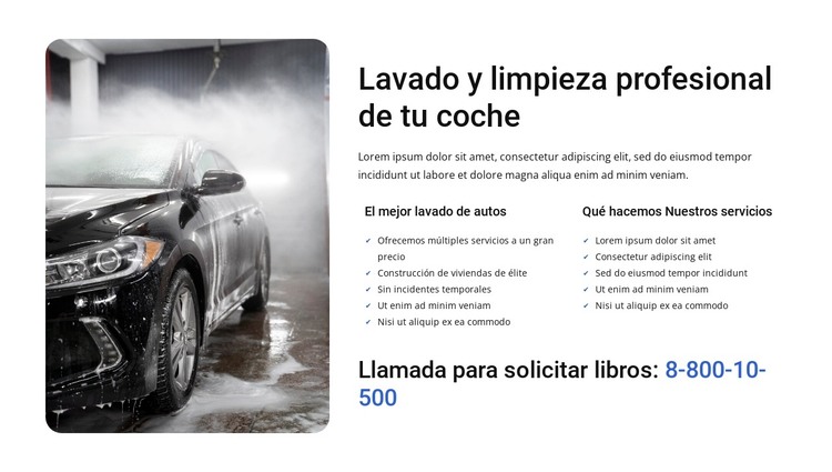 lavado de autos profesional Plantilla HTML