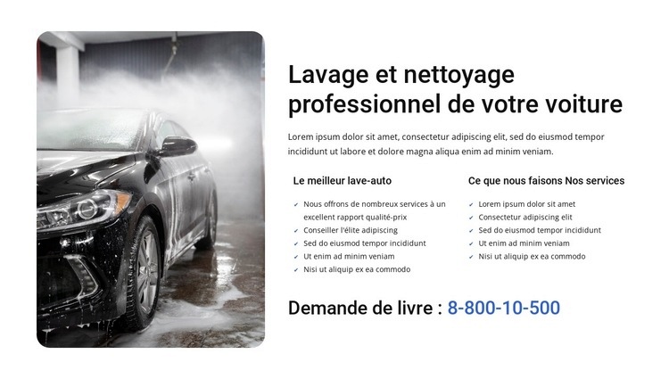 Lavage de voiture professionnel Conception de site Web