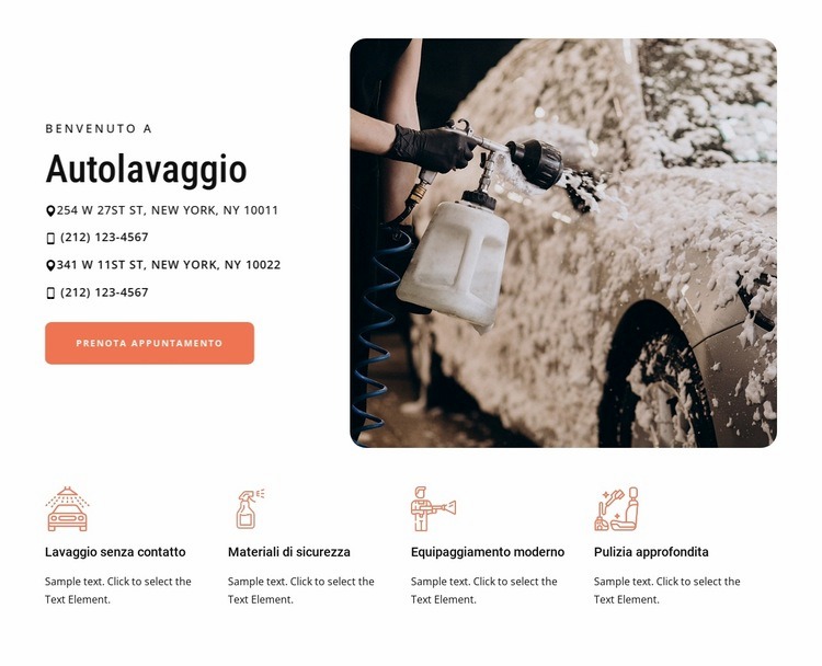 Servizio di autolavaggio Progettazione di siti web