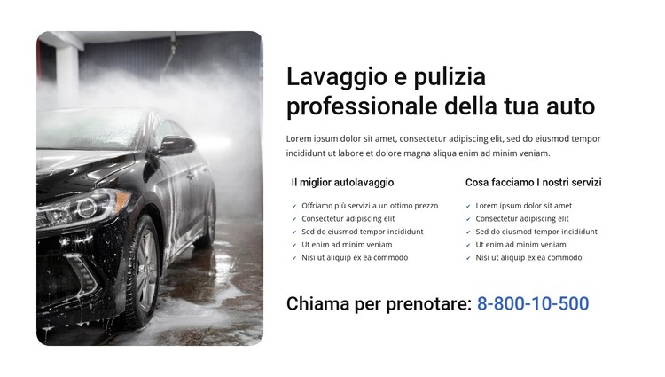 Lavaggio auto professionale Modello CSS