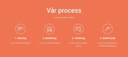 Vår Process