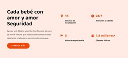 Variaciones Del Tema Bootstrap Para Acerca De La Agencia De Niñeras