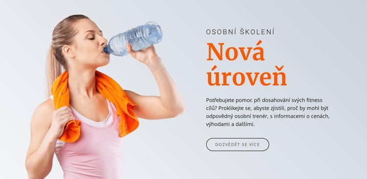 Nová úroveň zdraví Šablona CSS