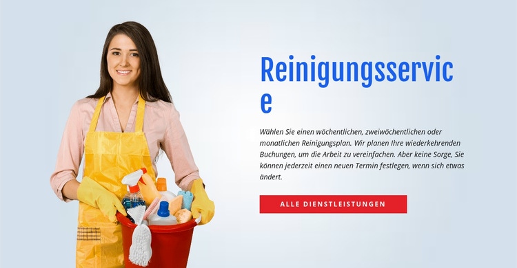 Waschen und desinfizieren Sie die Toilette Website design