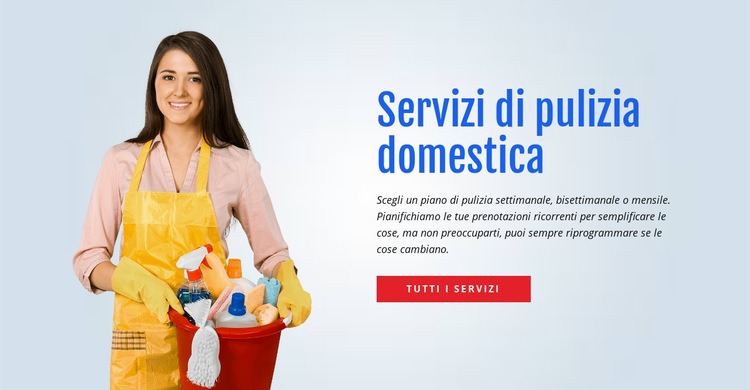 Lava e igienizza la toilette Progettazione di siti web