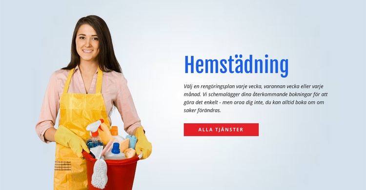 Tvätta och sanera toaletten Hemsidedesign