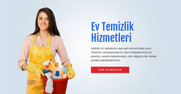 Tuvaleti Yıka Ve Sterilize Et Için WordPress Sitesi