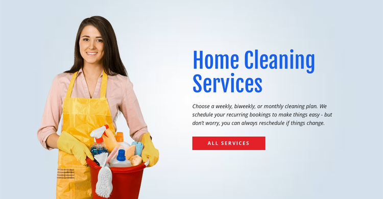 Wash and sanitize the toilet Website Design
