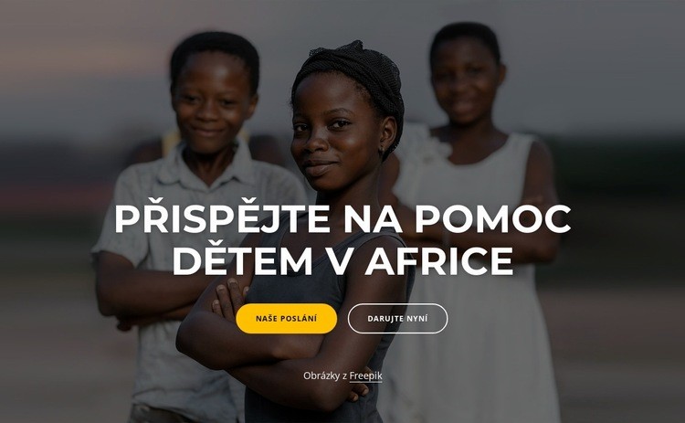 Charitativní Afrika Šablona HTML