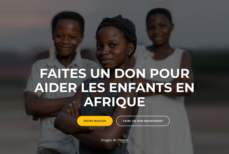 Charité Afrique Modèle CSS