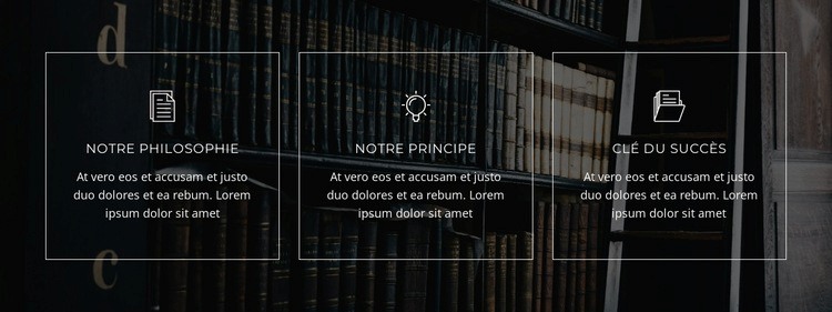 Cas de violation du droit d'auteur Modèle HTML5