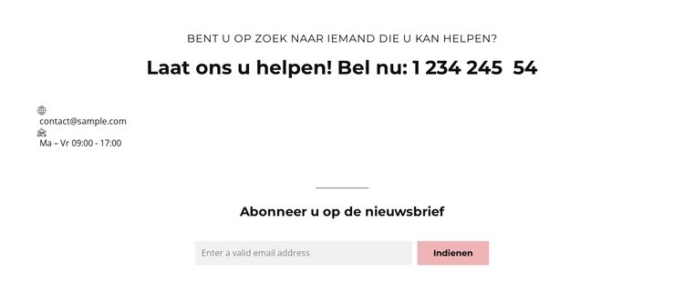 Bedrijfsbestuur Website mockup