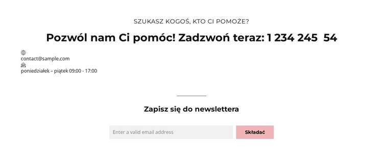 Ład korporacyjny Motyw WordPress