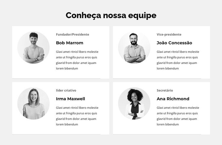 Nossa equipe especial Design do site