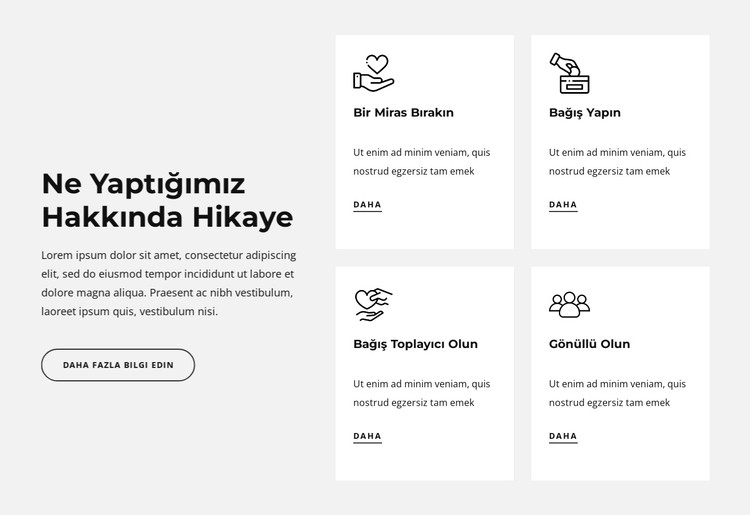 Ne yaptığımıza dair hikaye CSS Şablonu