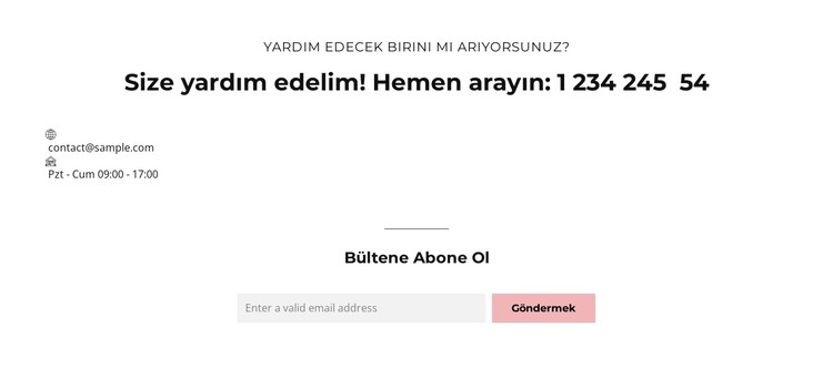 Kurumsal yönetim CSS Şablonu