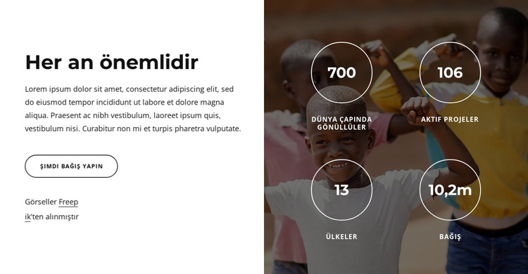 Biz kar amacı gütmeyen bir kuruluşuz WordPress Teması