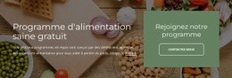 Programme D'Alimentation Saine Gratuit - Premium HTML Page Generator