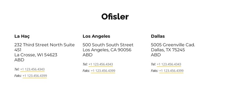 Ofis adresleri CSS Şablonu