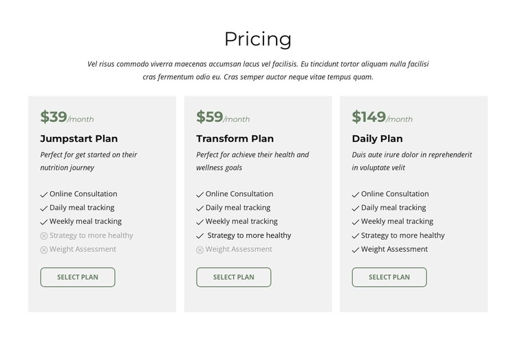 Packages and pricing WordPress Theme