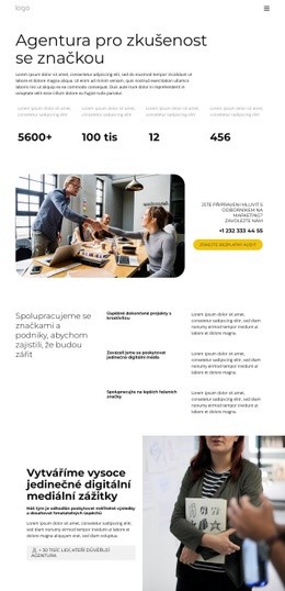Profesionální A Specializované Služby – Bezplatná Šablona Webových Stránek