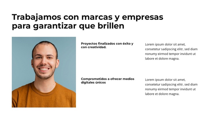 Proporcionar soluciones de marca Tema de WordPress