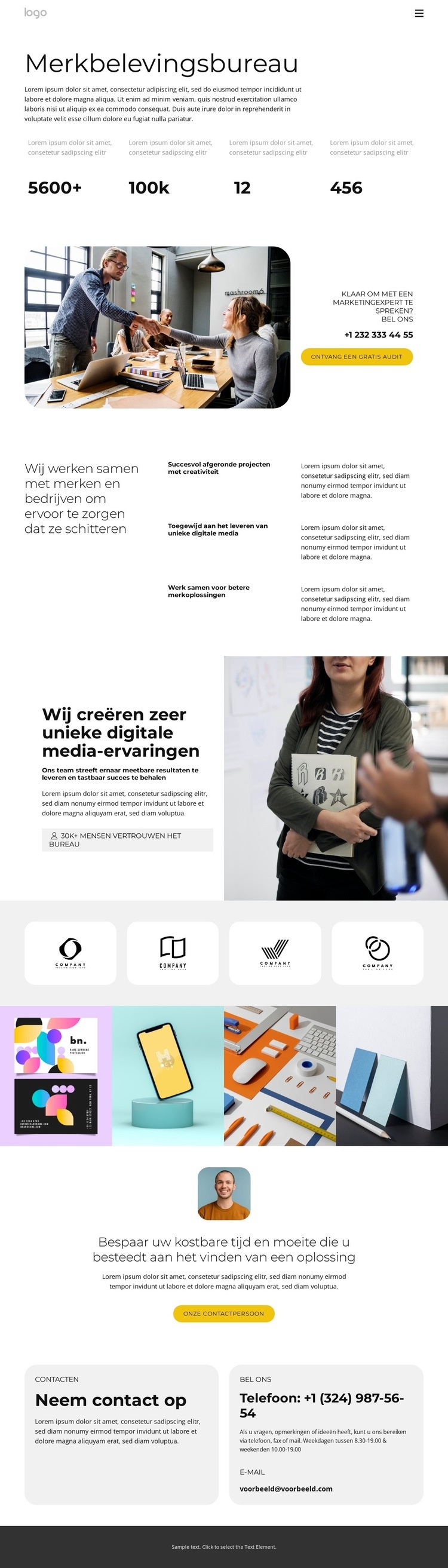 Professionele en toegewijde diensten Website mockup