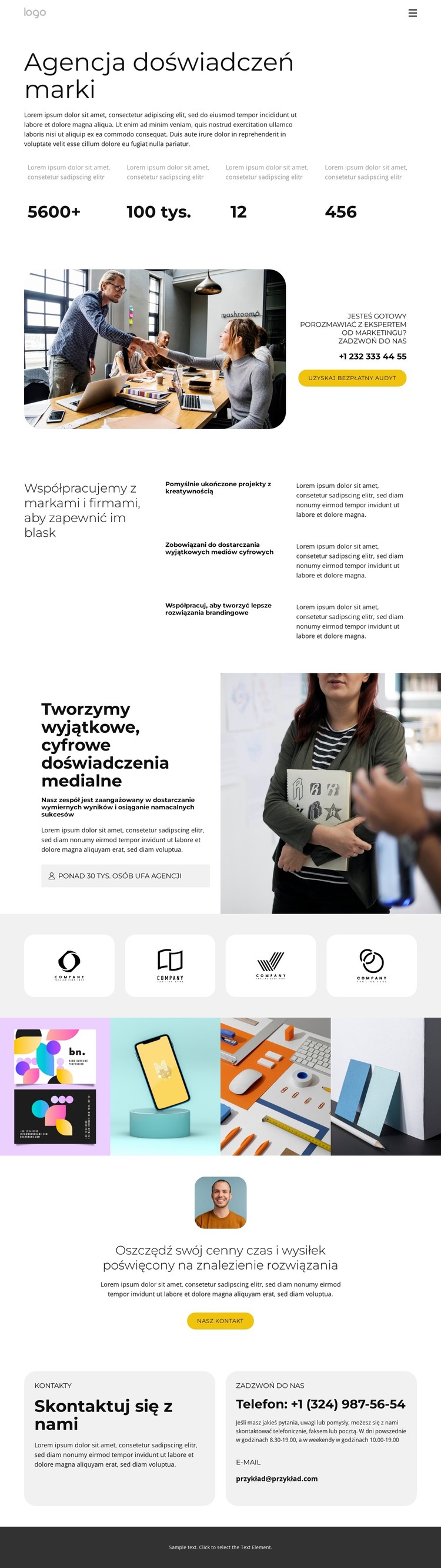 Profesjonalne i dedykowane usługi Szablon HTML