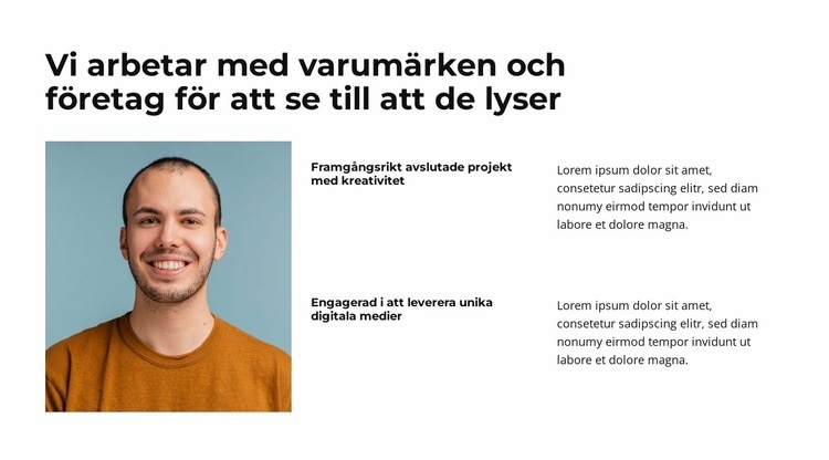 Tillhandahålla varumärkeslösningar WordPress -tema