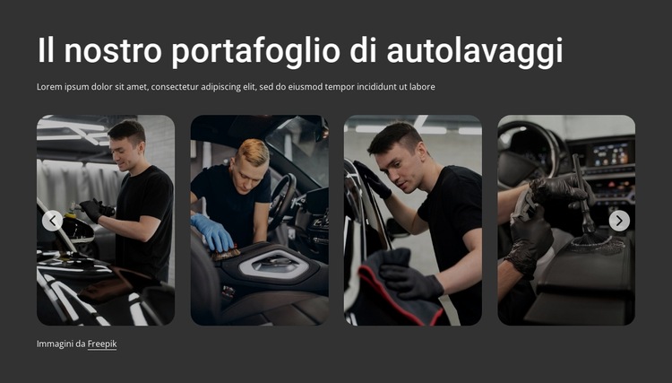 Portafoglio autolavaggio Modello di sito Web