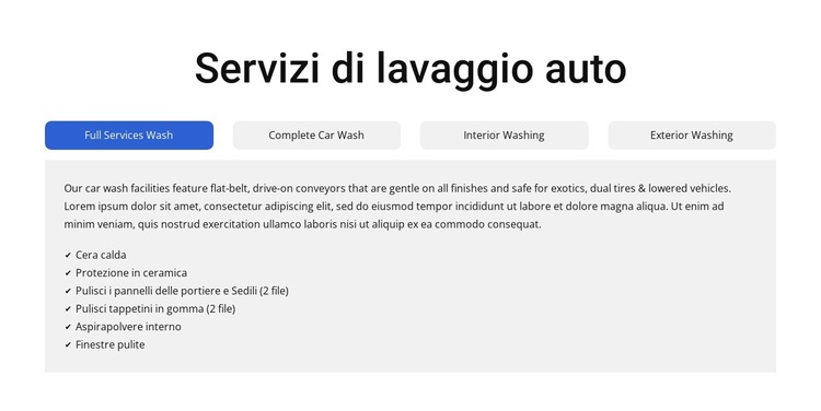 Servizi di lavaggio auto a schede Modello di sito Web