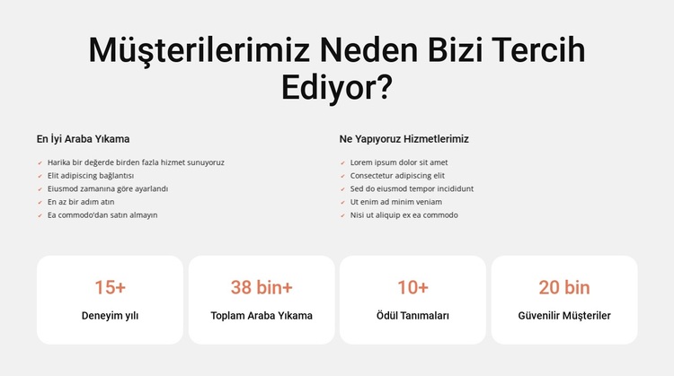 Araba yıkama ve iç temizlik WordPress Teması