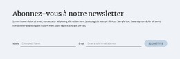 Formulaire D'Inscription À La Newsletter Conception De Sites Web