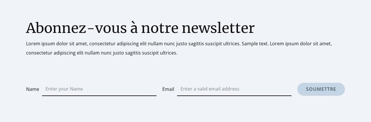 Formulaire d'inscription à la newsletter Modèle CSS