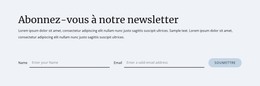 Formulaire D'Inscription À La Newsletter - Modèle De Site