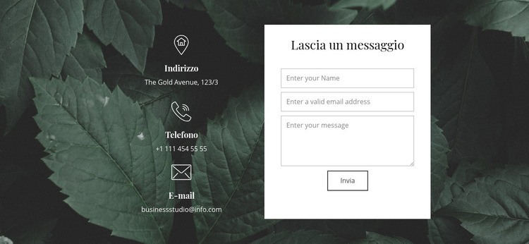 Lascia un messaggio Costruttore di siti web HTML