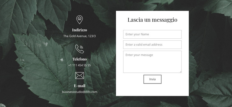 Lascia un messaggio Modello HTML