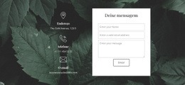 Deixe Mensagem -Maquete De Site Pronta Para Usar