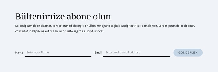 Bülten abonelik formu CSS Şablonu