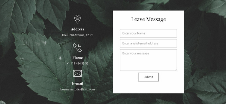 Leave message Website Mockup
