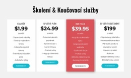 Školicí A Koučovací Služby