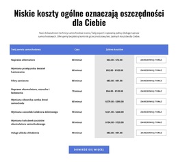 Usługi Naprawy Samochodów W Tabeli - Darmowy Motyw WordPress