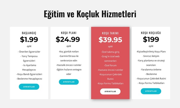 Eğitim ve koçluk hizmetleri CSS Şablonu