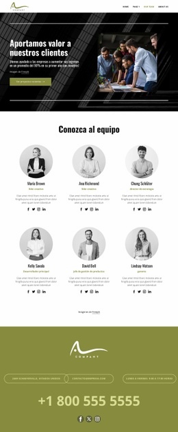 Equipo De Consultoria - Plantilla De Maqueta De Sitio Web