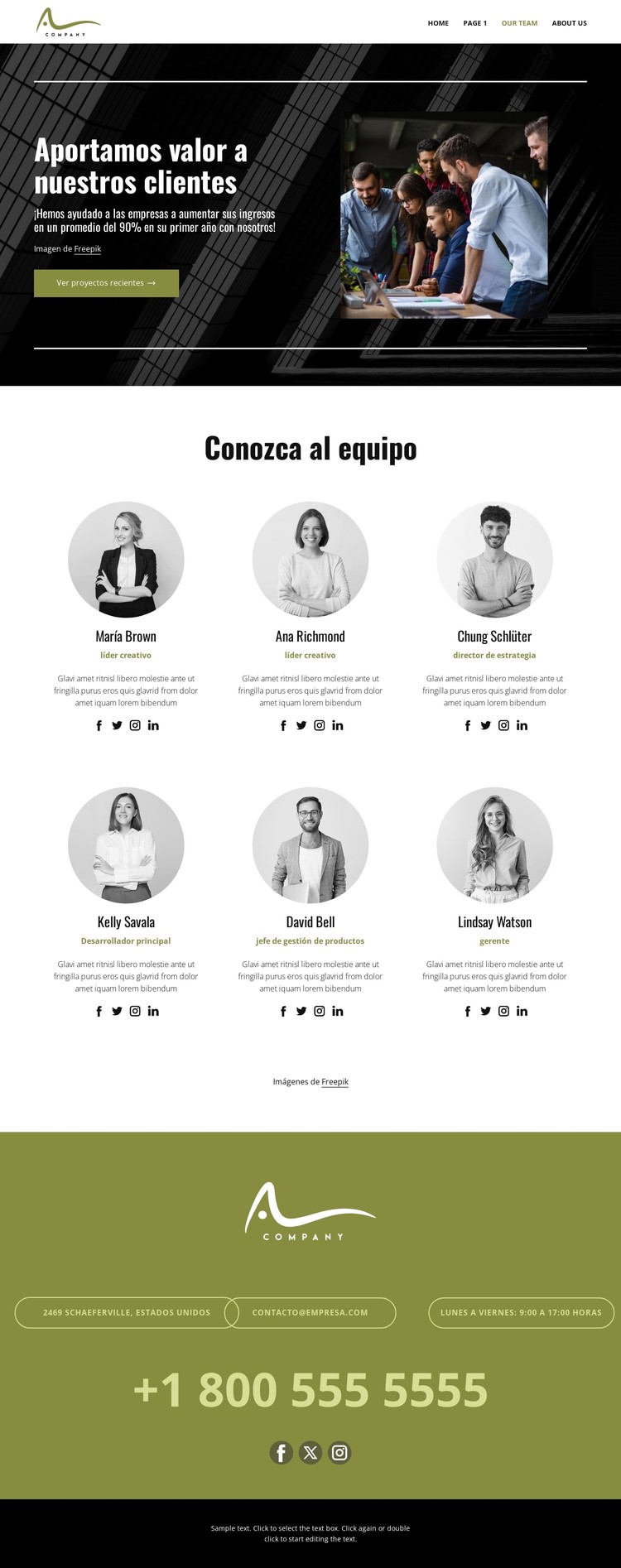 Equipo de consultoria Plantilla CSS