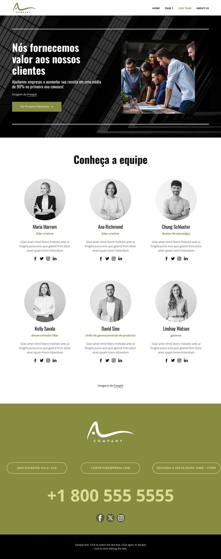 Equipe de consultoria Template CSS