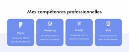 Mes Compétences Professionnelles