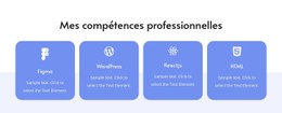 Mes Compétences Professionnelles