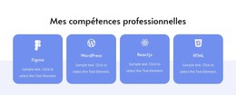 Mes Compétences Professionnelles