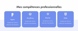 Mes Compétences Professionnelles